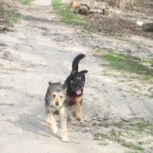 rhein_bonny,sky_märz07 002.jpg