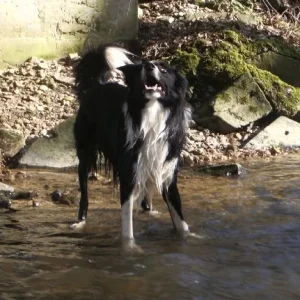 amos_erlenbach_märz07 005.jpg