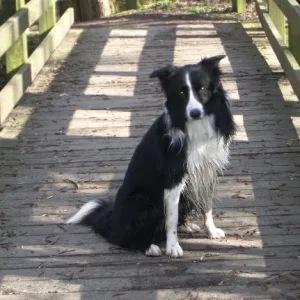 amos_erlenbach_märz07 009.jpg