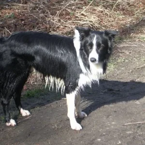 amos_erlenbach_märz07 017.jpg