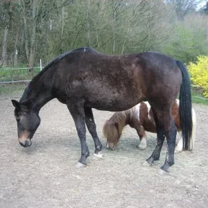 Kopie von IMG_1248.jpg