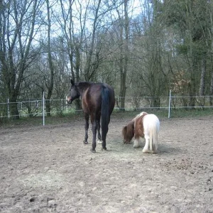 Kopie von IMG_1247.jpg