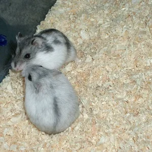 9.Sunny & Leonardo.jpg