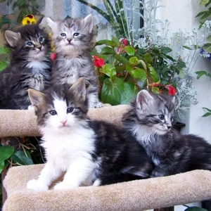 asti geschwister.jpg