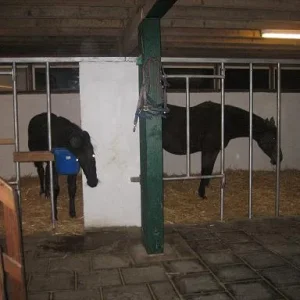 Kopie von IMG_0894.jpg