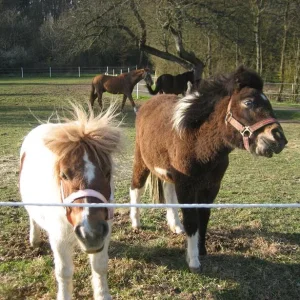 Kopie von IMG_1679.jpg