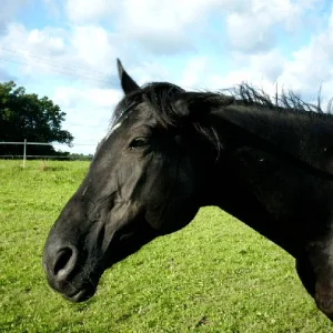 Aufgezeichnet 2004-8-19 00007.jpg