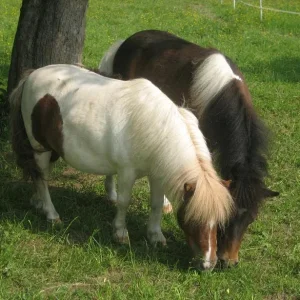 Kopie von IMG_2384.jpg