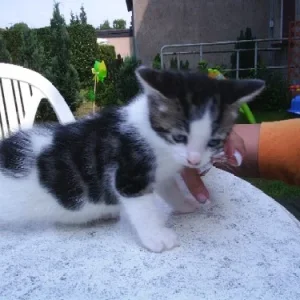 fotos daggi 003.jpg1.jpg