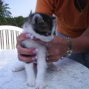 fotos daggi 004.jpg1.jpg