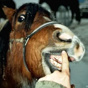 Kopie von bleibda.jpg