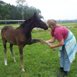 Kopie (2) von br.jpg