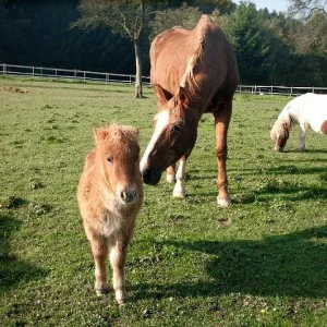 Kopie (2) von sortieren 00061.jpg