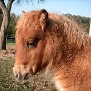 Kopie von sortieren 00043.jpg