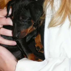 Dira in meinen Händen.jpg