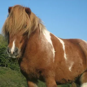 Kopie von IMG_3363.jpg