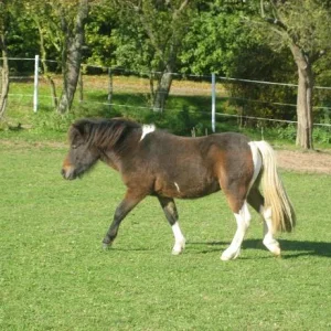 Kopie von IMG_3375.jpg