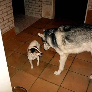 Kopie von Aufgezeichnet 2003-12-31 00000.jpg