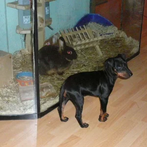 Die sieht ja aus wie ich.jpg