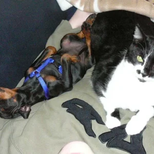 Dira und Olli auf mir.jpg