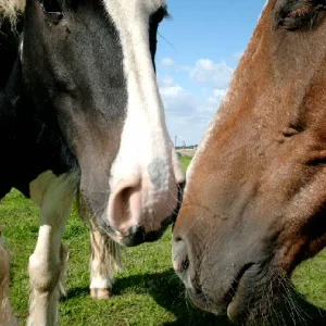 Aufgezeichnet 2004-1-18 00010.jpg