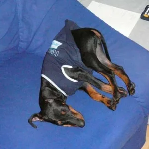 Popo in die Höh.jpg