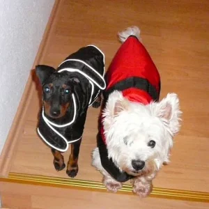 Dira und Elli schick.jpg