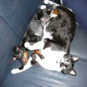 34 Dira Olli kuscheln.jpg