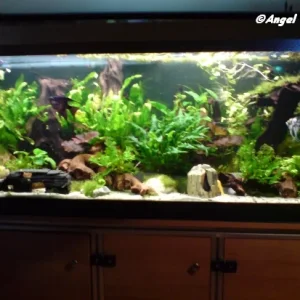 Nach neu gestaltung.jpg