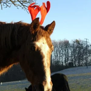 Kopie von diverses 076.jpg