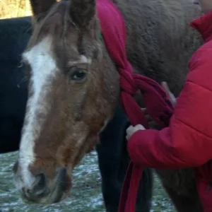 Kopie von diverses 040.jpg