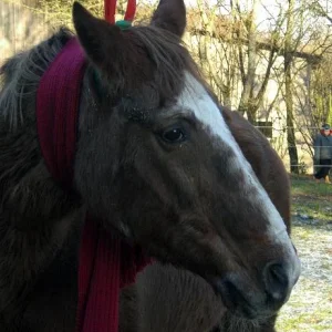 Kopie von diverses 042.jpg