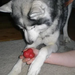 Kopie von diverses 525.jpg