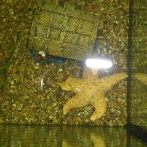 Aquarium von oben.jpg