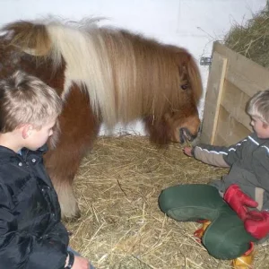 Kopie von Div 030.jpg