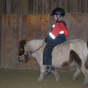 Kopie von Neue 00380.jpg