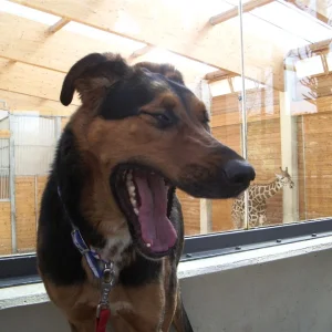 IMGP6721 (Custom).jpg