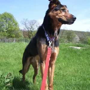 IMGP6729 (Custom).jpg