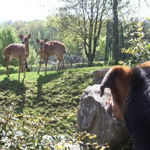 IMGP6738 (Custom).jpg