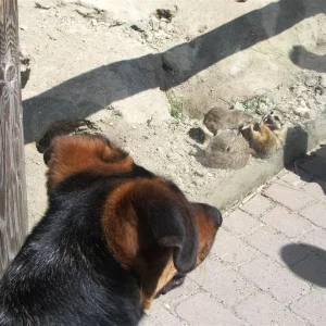 IMGP6751 (Custom).jpg