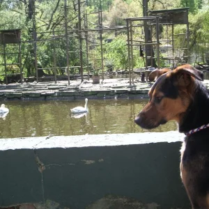 IMGP6790 (Custom).jpg