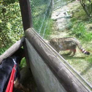 IMGP6852 (Custom).jpg