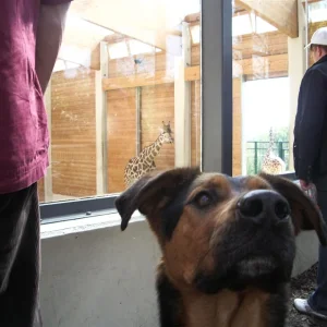 IMGP6716 (Custom).jpg