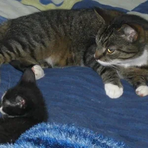 Tony und HirgonEcho.jpg