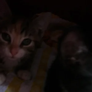 IMGP7167 (Custom).jpg