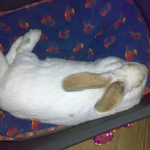 Kopie von Sommer 2008 143.jpg