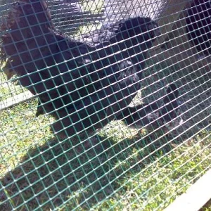 Kopie von Sommer 2008 150.jpg