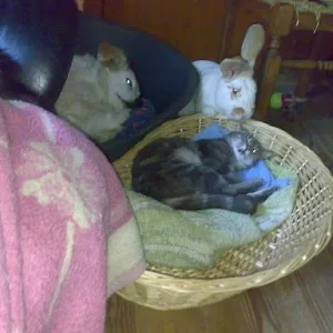 Kopie (2) von Sommer 2008 056.jpg