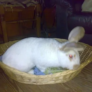 Kopie von Sommer 2008 061.jpg