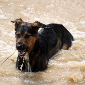 IMG_2396_1 (Custom).jpg